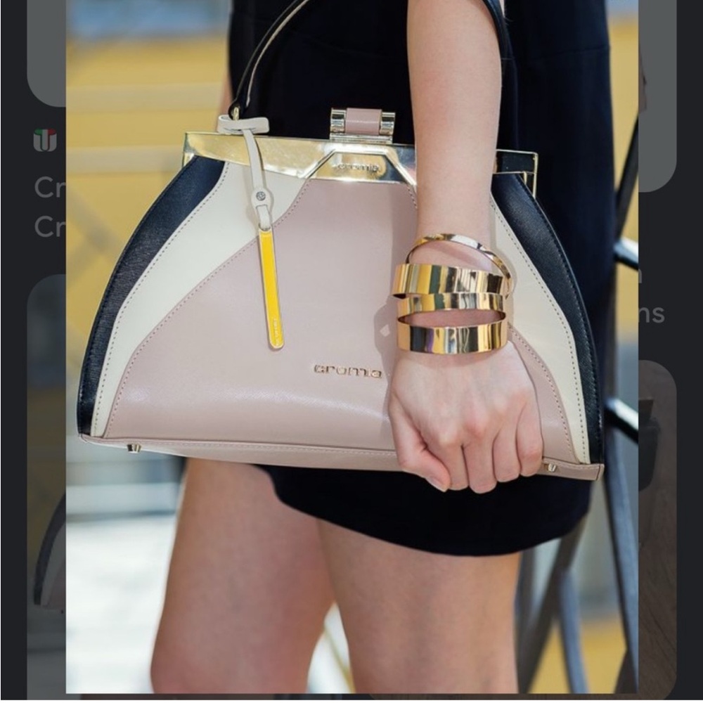 Cromia Gray and Cream Women's Bag